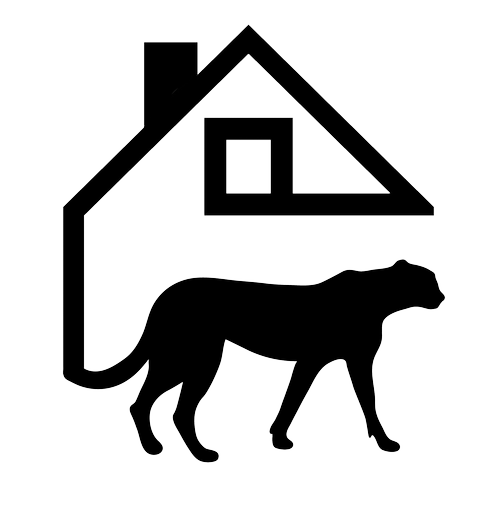 Cheetah House Website